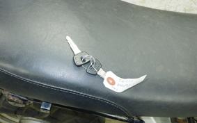 YAMAHA TW225 2020 DG09J