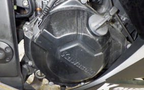 KAWASAKI NINJA 250 ABS 2023 EX250L