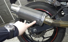 KAWASAKI NINJA 250 2009 EX250L