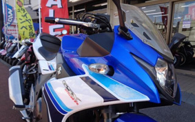 SUZUKI GSX250 R DN11A