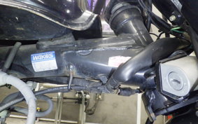 HONDA GORILLA 2024 AB27