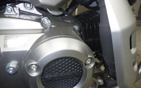 HONDA CT125-2 2024 JA65