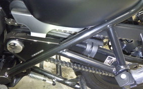 OTHER +ENFIELD ﾒﾃｵ350 2024