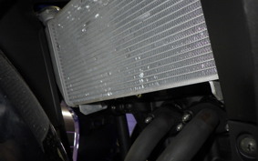 YAMAHA YZF-R25 2021 RG43J