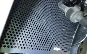 KAWASAKI NINJA 1000 A 2017 ZXT00W