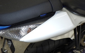 SUZUKI GSX-R1000 2010