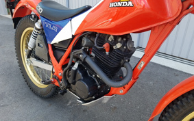 HONDA TLR200 MD09