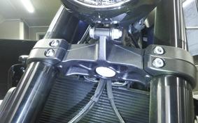 TRIUMPH TRIDENT 660 2026