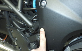 KAWASAKI VERSYS 1000 2015