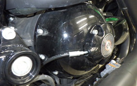 HARLEY NIGHT ROD 1250 SP 2017