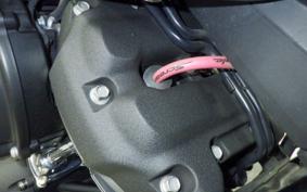 HARLEY FXBB1750 2020