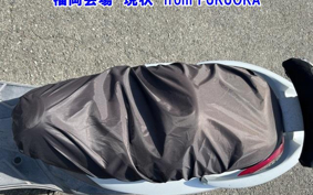 OTHER RV125i