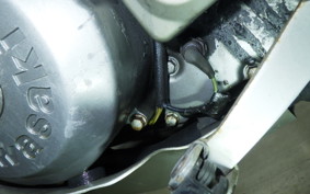 KAWASAKI SUPER SHERPA 2017 KL250G