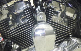OTHER +HD. XL1200C-I 2015