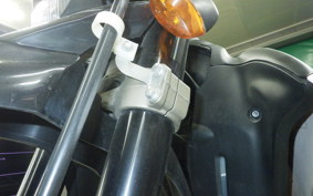 YAMAHA WR250X DG15J