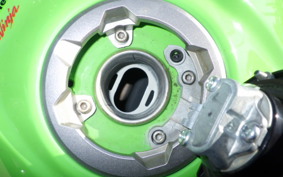 KAWASAKI NINJA 400 2018 EX400G