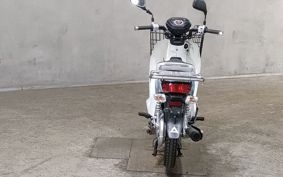 HONDA SUPER CUB110 JA10