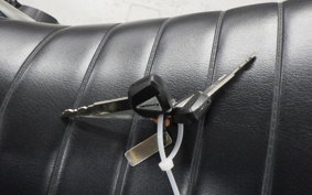 KAWASAKI Z900RS 2022 ZR900C