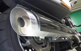 HARLEY FLSB 1750 2019