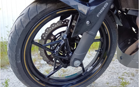 KAWASAKI NINJA 250 EX250P