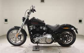 HARLEY FXST1750 2025