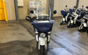 HONDA  BENLY  PRO  AA03