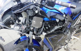 KAWASAKI NINJA 250 EX250L