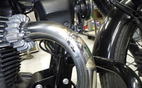 KAWASAKI W800 CAFE 2019 EJ800B
