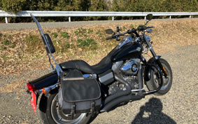 HARLEY HARLEY FXDF1580 2010 GY4