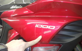 KAWASAKI NINJA 1000 2014