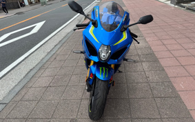 SUZUKI GSX-R1000R ABS 2019 DM11G