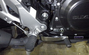 SUZUKI Vｽﾄﾛｰﾑ250 2010