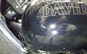 HARLEY FXLRST1920 2022