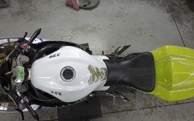 SUZUKI HAYABUSA Gen.2 2007