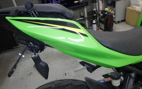 KAWASAKI NINJA 250 EX250P