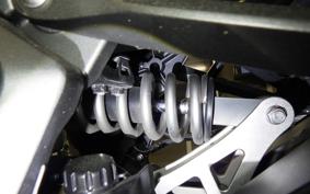 KAWASAKI NINJA 1000 SX 2021 ZXT02K