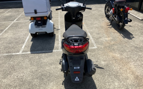 YAMAHA AKUSHI STREET SE53J