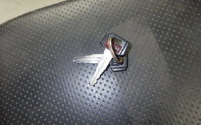 YAMAHA TDR250 2025 2YK