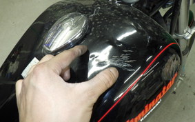 KAWASAKI ELIMINATOR 250 2023 EL250A