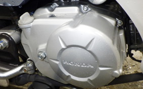 HONDA C110 SUPER CUB 2010 JA10