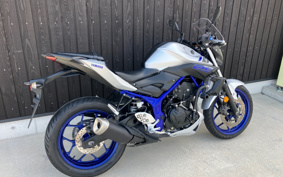 YAMAHA MT-25 RG10J