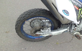 YAMAHA WR250R DG15J