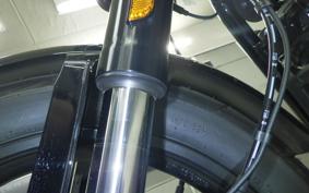HARLEY FXLRS1920 2025