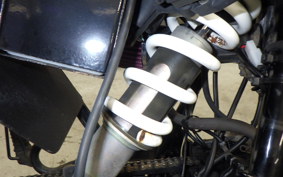 YAMAHA TW225 DG09J