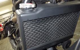HONDA REBEL 250 S MC49