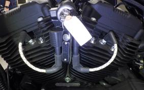 HARLEY XL1200NS 2019