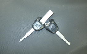 HONDA PCX125 2007 JF56