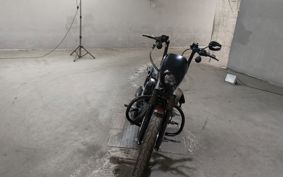 HARLEY XL1200NS 2018 LP3