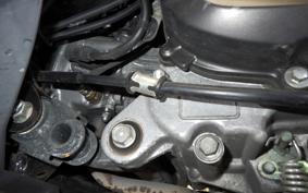 HONDA TACT Basket 2021 AF79
