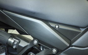 KAWASAKI NINJA 1000 SX 2024 ZXT02K